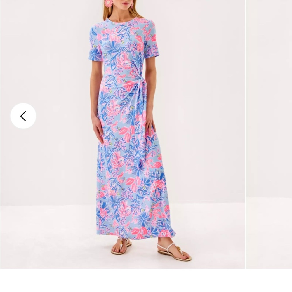 $118 Lilly Pulitzer Chace Maxi Dress. XL Color: Multi Elephant Splash